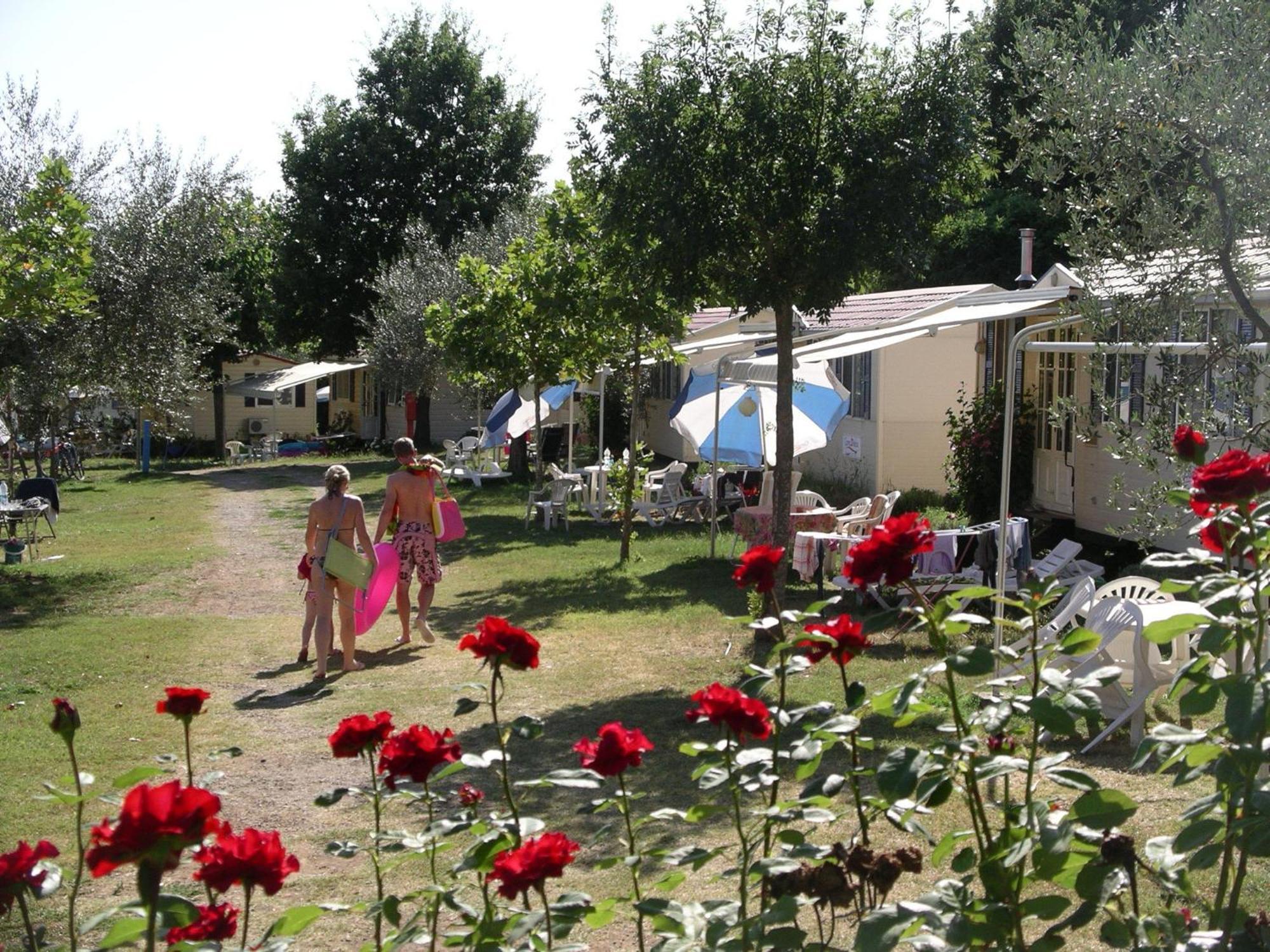 Blu International Camping Болсена Екстериор снимка